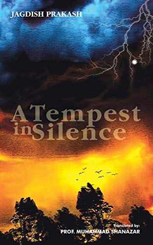 A Tempest In Silence [Paperback]