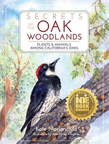 Secrets Of The Oak Woodlands: Plants And Animals Among California's Oaks [Paperback]