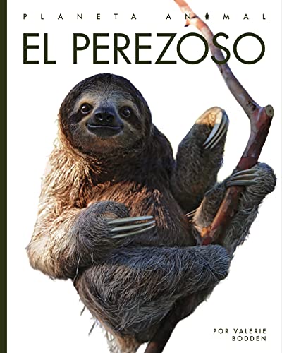 El perezoso [Paperback]