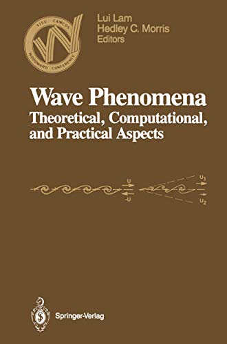 Wave Phenomena Theoretical, Computational, and Practical Aspects [Paperback]