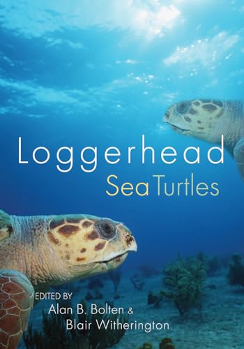 Loggerhead Sea Turtles [Paperback]