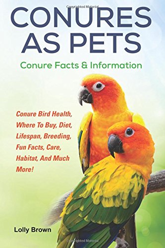 Conures As Pets Conure Bird Health, Where To Buy, Diet, Lifespan, Breeding, Fun [Paperback]