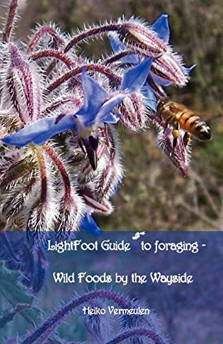 Lightfoot Guide To Foraging - Wild Foods By The Wayside [Paperback]