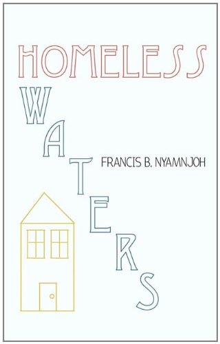 Homeless Waters [Paperback]