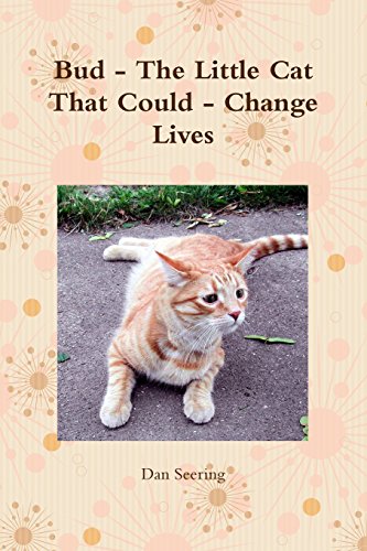 Bud - the Little Cat That Could - Change Lives [Paperback]