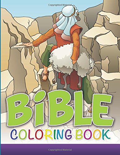 Bible Coloring Book [Paperback]