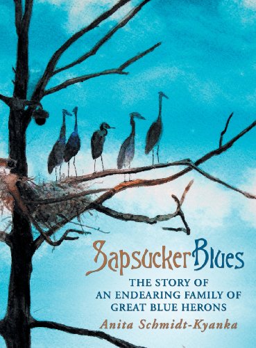 Sapsucker Blues The Story Of An Endearing Family Of Great Blue Herons [Hardcover]