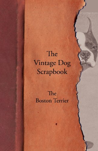 Vintage Dog Scrapbook - the Boston Terrier [Paperback]