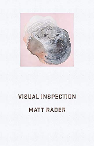 Visual Inspection [Paperback]