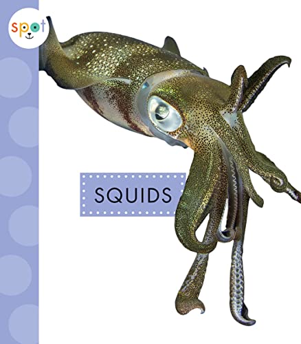 Squids [Paperback]