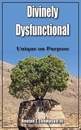 Divinely Dysfunctional  Unique on Purpose [Paperback]