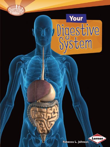 Your Digestive System (searchlight Books) [Paperback]