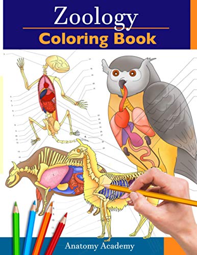 Zoology Coloring Book