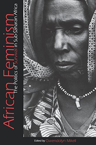 African Feminism The Politics of Survival in Sub-Saharan Africa [Paperback]