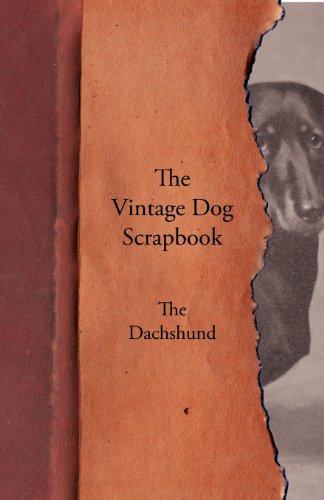 Vintage Dog Scrapbook - the Dachshund [Paperback]