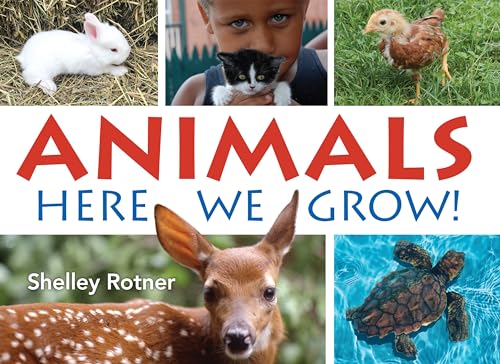 Animals!: Here We Grow [Paperback]