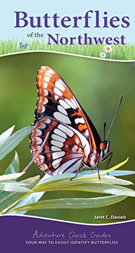 Butterflies of the Northwest: Your Way to Easily Identify Butterflies [Spiral bound]