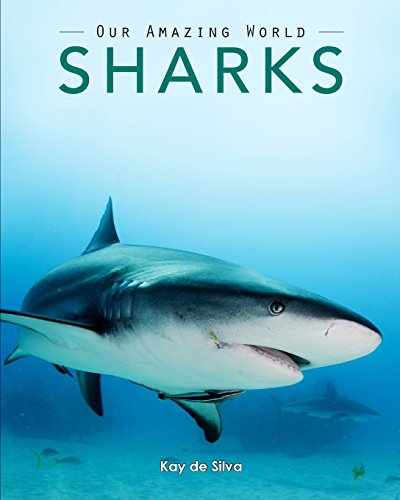 Sharks Amazing Pictures & Fun Facts On Animals In Nature [Paperback]