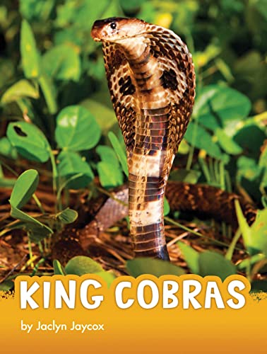 King Cobras [Paperback]