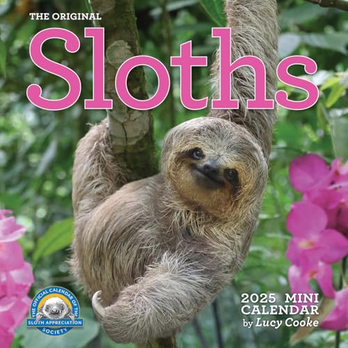 Original Sloths Mini Wall Calendar 2025: Celebrate Life in the Slow Lane [Calendar]