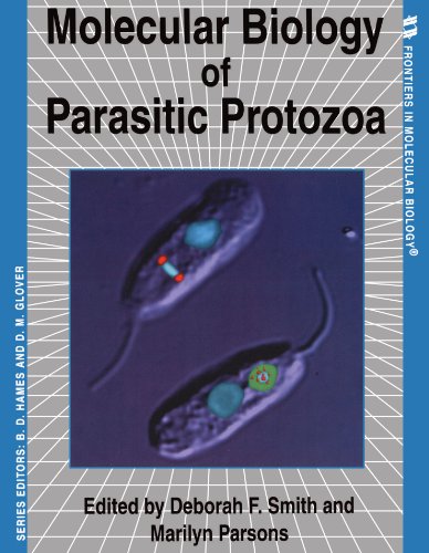 Molecular Biology of Parasitic Protozoa [Paperback]