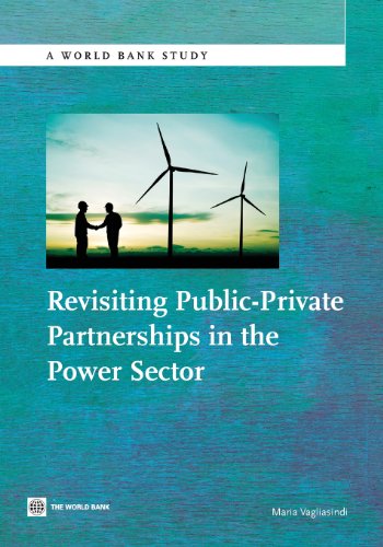 Revisiting Public-Private Partnerships in the Poer Sector [Paperback]