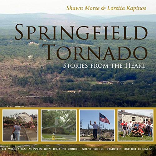 Springfield Tornado Stories From The Heart [Paperback]