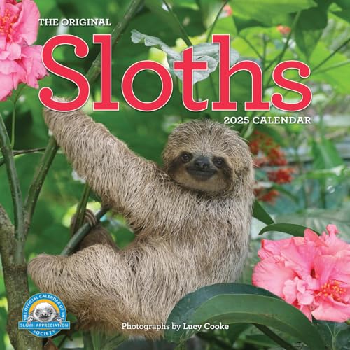 Original Sloths Wall Calendar 2025: The Ultimate Experts at Slowing Down [Calendar]