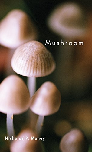 Mushroom [Hardcover]