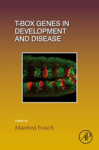 T-box Genes in Development and Disease [Hardcover]