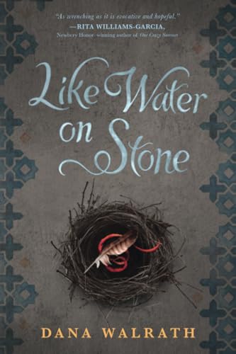 Like Water on Stone [Paperback]