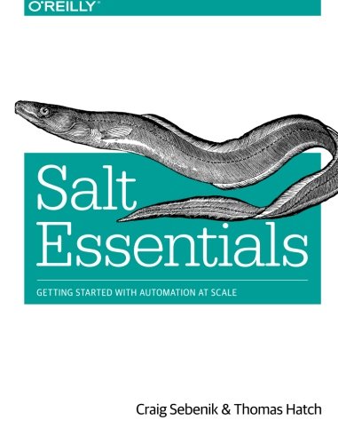 Salt Essentials Getting Started with Automation at Scale [Paperback]