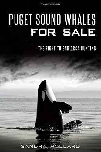 Puget Sound Whales for Sale: The Fight to End Orca Hunting [Paperback]