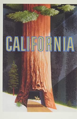 Vintage Journal Stylized California Sequoia