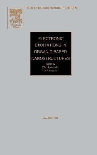 Electronic Excitations in Organic Based Nanostructures [Hardcover]