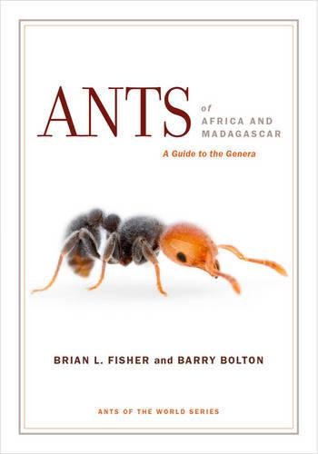 Ants of Africa and Madagascar: A Guide to the Genera [Paperback]