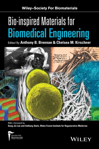 Bio-inspired Materials for Biomedical Engineering [Hardcover]