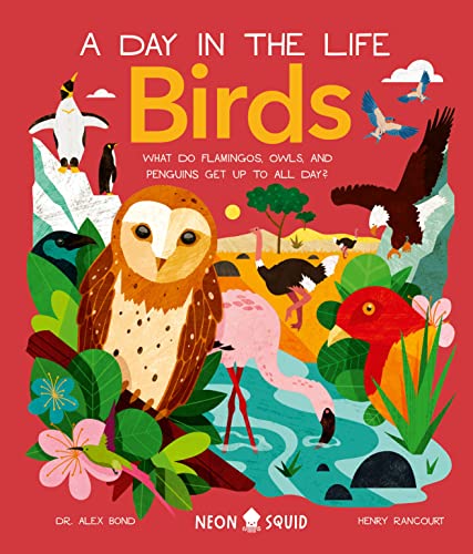 Birds (A Day in the Life): What Do Flamingos, Owls, and Penguins Get Up To All D [Hardcover]