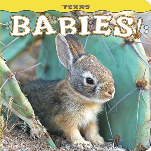 Texas Babies! [Board book]