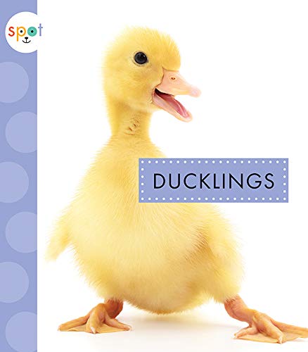 Ducklings [Paperback]