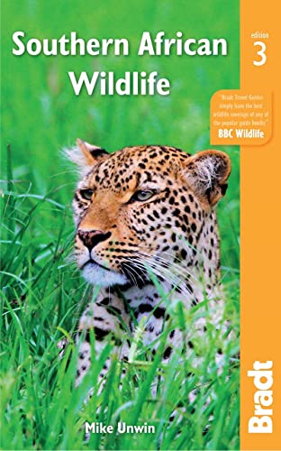 Southern African Wildlife [Paperback]