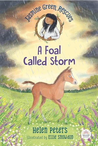 Jasmine Green Rescues: A Foal Called Storm [Paperback]