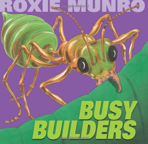 Busy Builders [Hardcover]