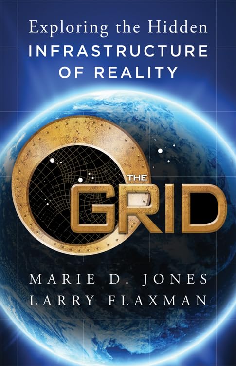 The Grid: Exploring The Hidden Infrastructure Of Reality [Paperback]