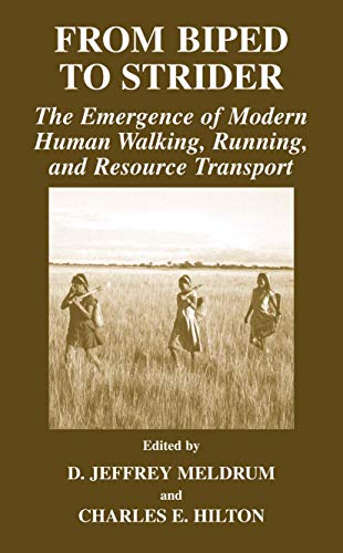 From Biped to Strider: The Emergence of Modern Human Walking, Running, and Resou [Paperback]