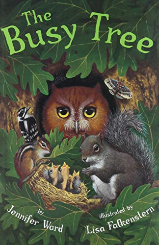 Busy Tree [Hardcover]