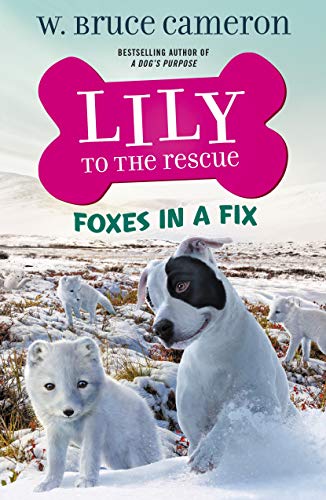 Lily to the Rescue: Foxes in a Fix [Paperback