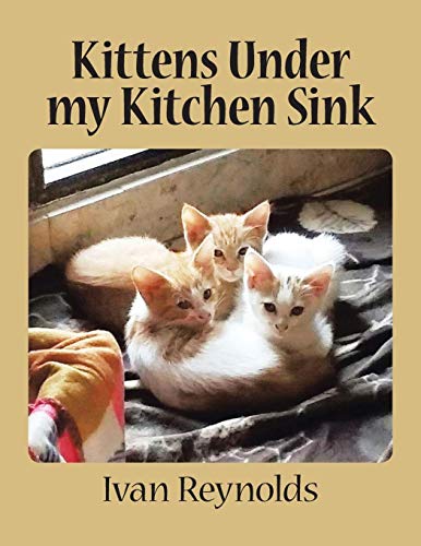 Kittens Under My Kitchen Sink [Paperback]