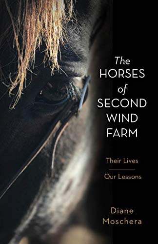 The Horses of Second Wind Farm: Their Lives  Our Lessons [Hardcover]