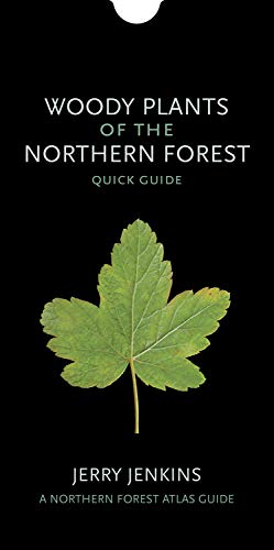 Woody Plants of the Northern Forest  Quick Guide [Unknon]